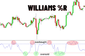 You are currently viewing How to Use Williams %R (Williams Percent Range)