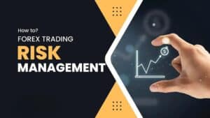 Read more about the article What is the Role of Risk Management in a Successful Forex Trading Strategy in 2024?